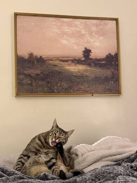 Entry image for Alfie. Clicking this image will show a larger photo