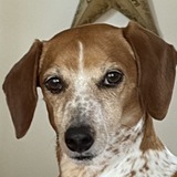 Entry image for Tucker