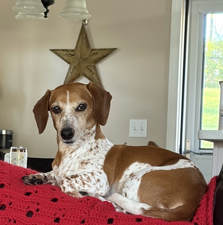 Entry image for Tucker. Clicking this image will show a larger photo