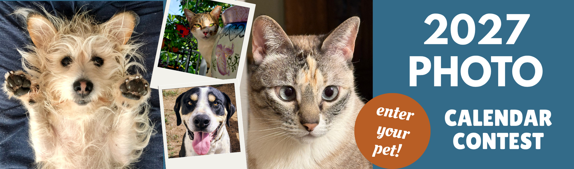 Banner for 2027 Pet Calendar Photo Contest