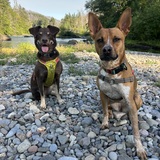 Entry image for Viva and Gina B. 