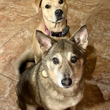 Entry image for CocoBella & Manny