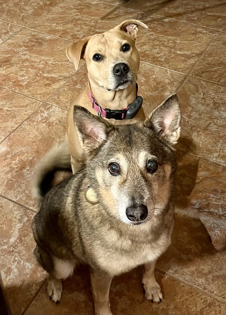 Entry image for CocoBella & Manny. Clicking this image will show a larger photo