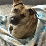 Entry image for Tucker 
