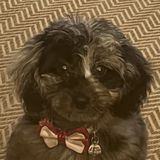 Entry image for Sully