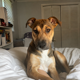 Entry image for Lila