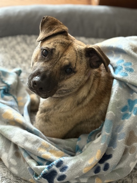 Entry image for Tucker . Clicking this image will show a larger photo