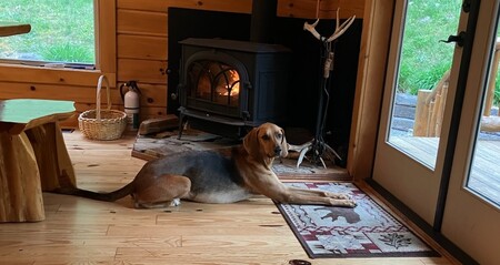 Entry image for Fin. Clicking this image will show a larger photo