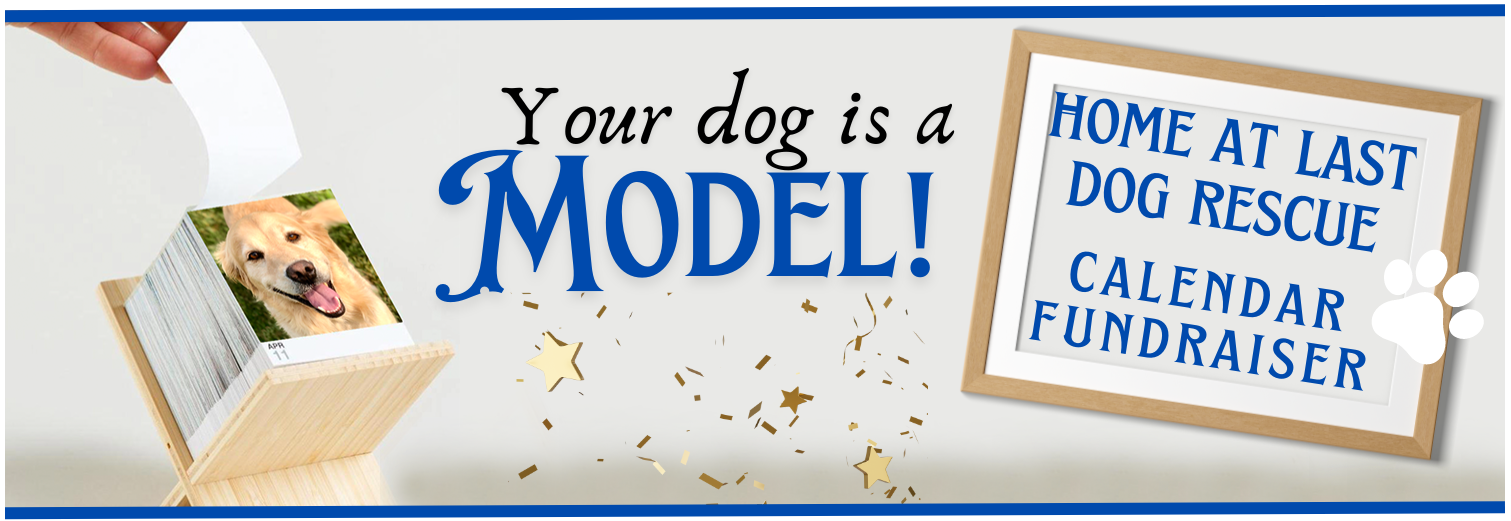 Banner for Home at Last Calendar Fundraiser