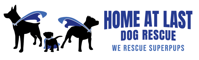 Logo for Home at Last Calendar Fundraiser