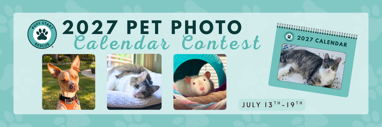 Banner for 2027 Ruff Start Calendar Contest