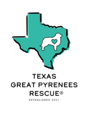 Logo for 2027 Texas Great Pyrenees Calendar Photo Contest | The Floofwalk: Dreaming Big