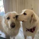 Entry image for Ella kissing Minnie