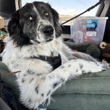Entry image for Tucker