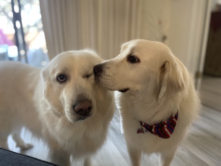 Entry image for Ella kissing Minnie. Clicking this image will show a larger photo
