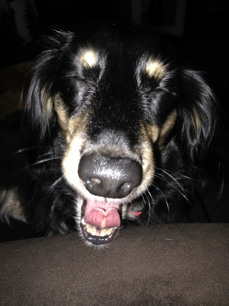 Riley 