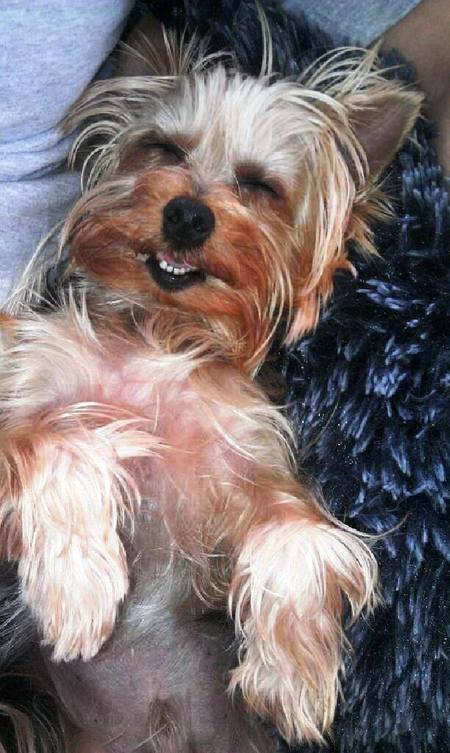 Barkley