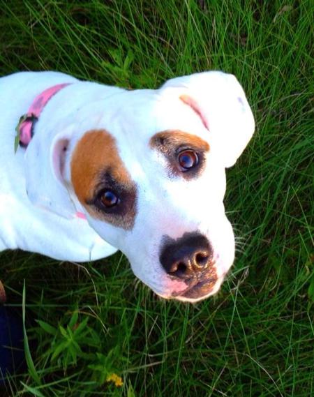 Daisy 