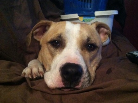 Sammie