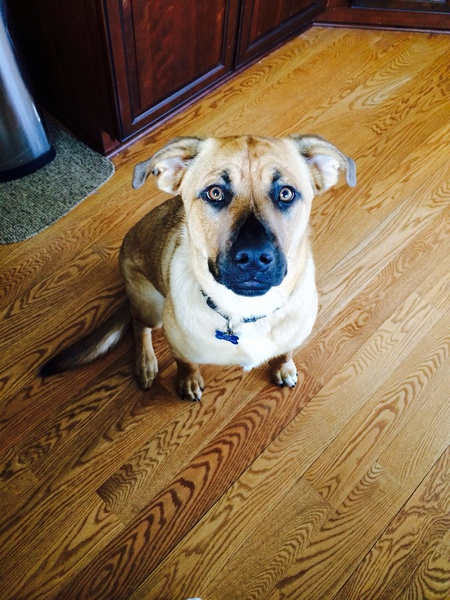 Duke