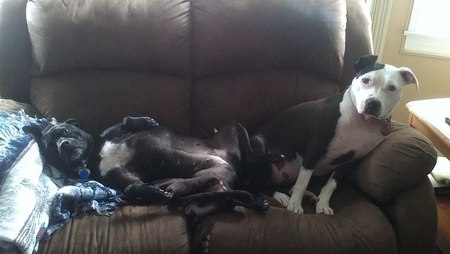 Dagne & Zuno