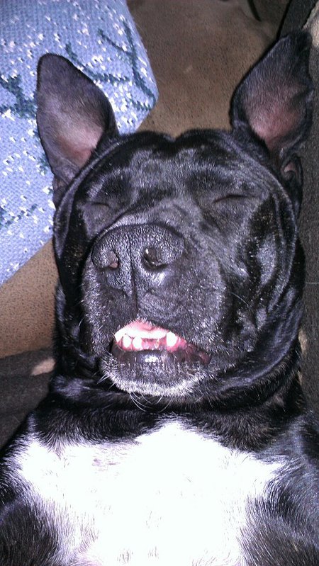 Dagne