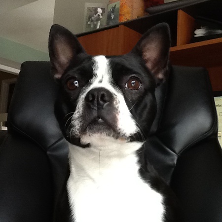 Daisy