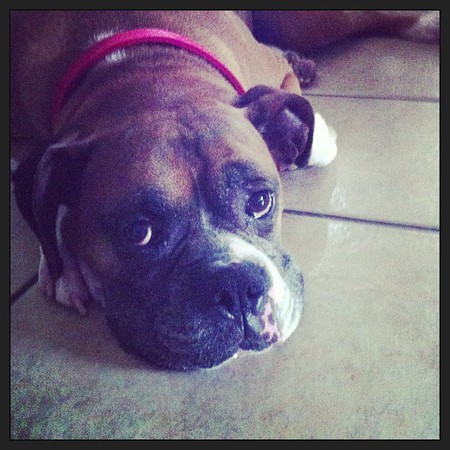 Kahlua