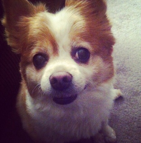 Lily 
