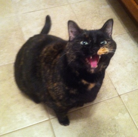 Lola