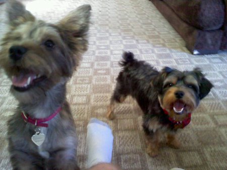 Armani and Athena