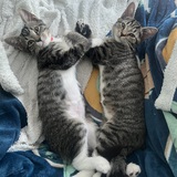 Entry image for Caitlyn and Angel