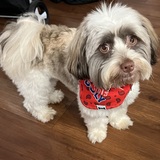 Entry image for Charlie
