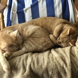 Entry image for Jackson and Noah