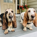 Entry image for Nelly and Beulah
