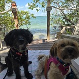 Entry image for Maui and Kiara