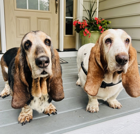 Entry image for Nelly and Beulah. Clicking this image will show a larger photo