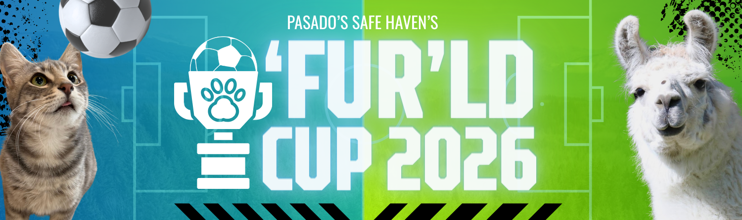 Banner for THE ‘FUR’LD CUP