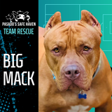 Entry image for Big Mack