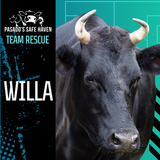 Entry image for Willa