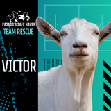 Entry image for Victor