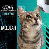 Entry image for Tallulah