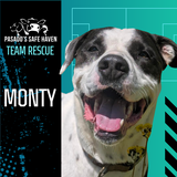 Entry image for Monty