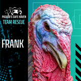 Entry image for Frank