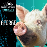 Entry image for George