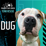 Entry image for Dug