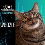 Entry image for Woozle