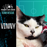 Entry image for Vinny