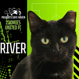 Entry image for River