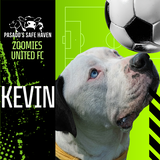 Entry image for Kevin